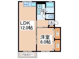 メゾンはまなすの物件間取画像